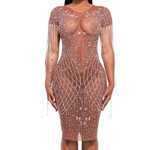 Alglist mesh embellished dress